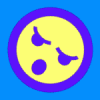 morethanthemes